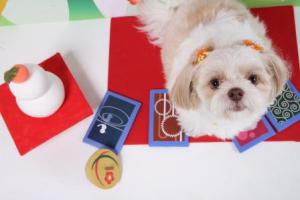 ¡Ö´ÇÈĸ¤¡Ö¥¹¥Ô¥¢¡×¤è¤ê¡¡¿·Ç¯¤Î¤´°§»¢¡×¤Î²èÁü