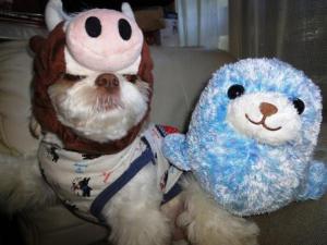 ¡Ö¤¢¤¶¤é¤·¤Î¡Ö¤¢¤¶»Ò¤Á¤ã¤ó¡×¡×¤Î²èÁü