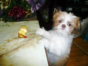 カメラ目線です