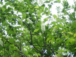 「直伝直氣を受講して」の画像