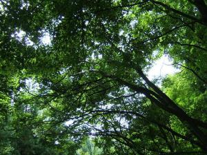 「直伝直氣in山形vol.2」の画像