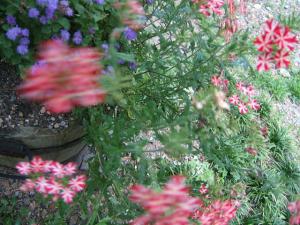 「直伝直氣を受講して」の画像