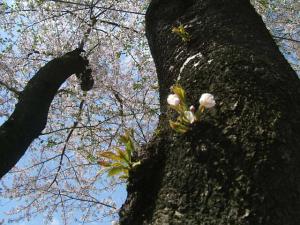 「受講の感想」の画像