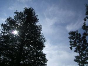 「受講後の活用法」の画像