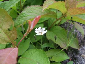 「受講してみて」の画像