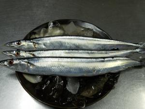 「おすすめ☆」の画像