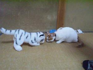 ¡Ö¤â¤Ã¤Á¡×¤Î²èÁü