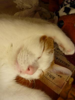 ¡Ö¤â¤Ã¤Á£²¡×¤Î²èÁü