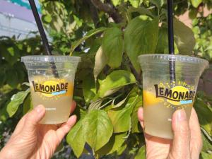 「☆生まれて初めて足を踏み入れた【すき家】のドハマリ品☆」の画像