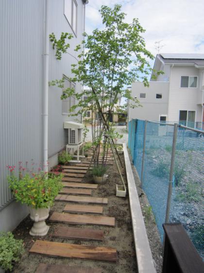 樹木が入って 外構工事完成しました ホーミィ 住まいづくりのハーモニー