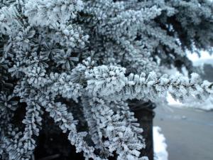 「成果」の画像