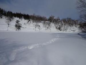 「信じる力」の画像