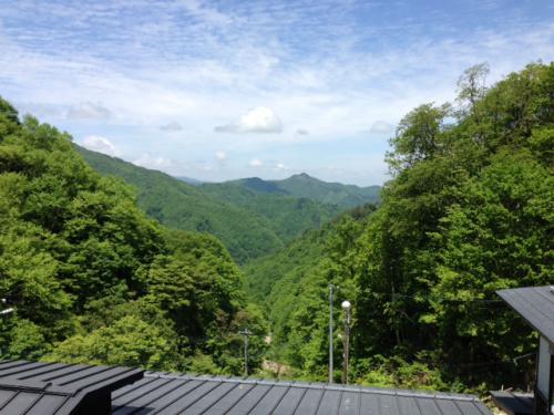 「西吾妻山にグリーン季到来!」の画像