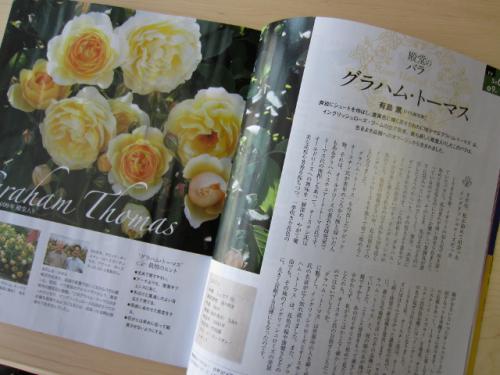 ¡Ö¡ã¤á¡ä¡¡¥¨¥²¥ì¥¹¤ËÎø¤¤¤·¤Æ¡¡±±Ñ¹ñ¡¢ÅÁÅý¤Î¥Ð¥é¤òÇ㤦¡×¤Î²èÁü