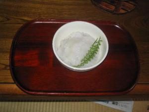 アオリイカ初体験 おさむ茶マイルーム