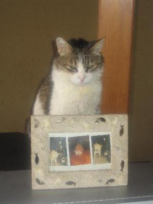 ¡Ö¥Ú¥Ã¥È¤ÏÀ¸¤¤Æ¤¤¤ë¡×¤Î²èÁü