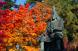 松が岬公園の紅葉:2012/11/19 12:25