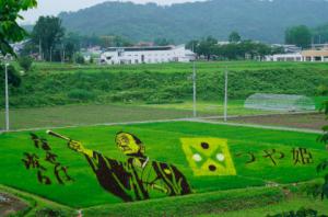 「田んぼアート2012」の画像