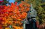 「松が岬公園の紅葉」のサムネイル