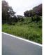 ³³Êø¤ì¡©¡§2005/08/25 10:44