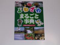 「米沢検定申し込み完了!」の画像