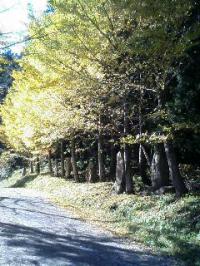 「冬の足音・・・」の画像