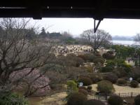 「偕楽園に行ってきました」の画像