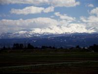 「千客万来の一日。」の画像