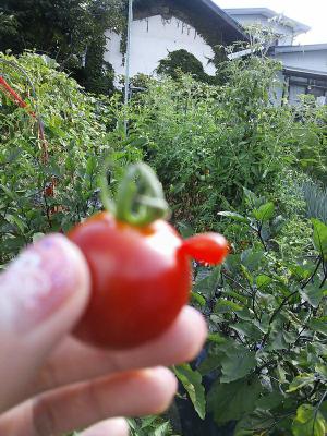 「写真展」の画像