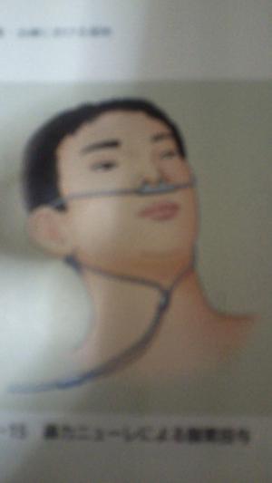 ¡Ö¤Ê¤á¤³½Á£µÇÕÌܡפβèÁü