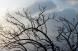 薄い雪雲に乱反射してけっこう綺麗。:2013/03/21 06:52