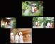 山形ブライダル ブライダルフォト ウェディングフォト ..:2013/01/24 16:54
