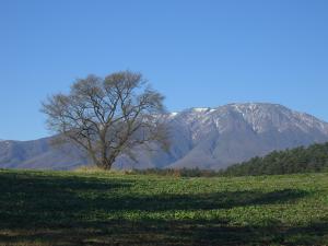 「初冬」の画像