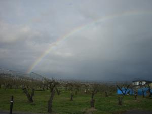 「希望の虹」の画像