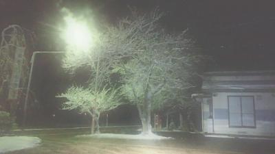 「12月19日 ホワイトイルミネーション♪」の画像