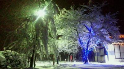 「12月20日 もっと ホワイトイルミネーション♪♪」の画像