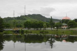 「まだまだですね!?」の画像