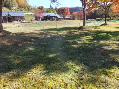 県内初 プライベートガーデン付きのドッグコテージ 飯豊町いいでファンクラブ 交流ひろば
