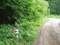 ¡Ö½é¤á¤Æ¤Î¥µ¥ó¥È¥ì¥¬¥¤¥É¡¡£¶¡×¤Î²èÁü