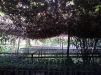 「ニカラグア最終日〜午前〜」の画像
