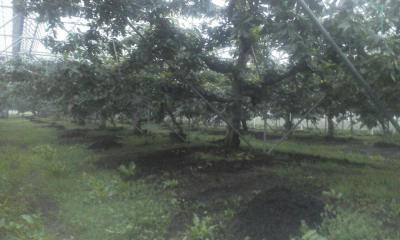 ¡Ö±«¾å¤¬¤ê¤ÎÂè°ì±àÃϡפβèÁü