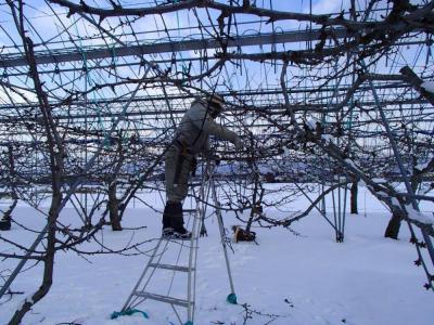 ¡Ö£µÇ¯¤Ö¤ê¤ËÀã¤Î¾¯¤Ê¤¤£²·î¤Ç¤¹¡£¡×¤Î²èÁü