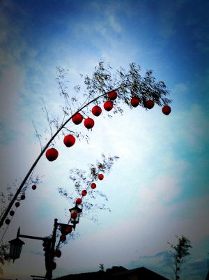 「aodake fes」の画像