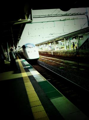 「pinchi from tokyo」の画像