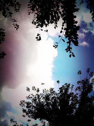 「end the summer 」の画像