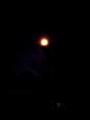 「dance in the moonlight」のサムネイル