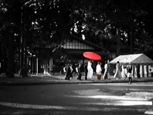 「白無垢花嫁綺麗です。」の画像