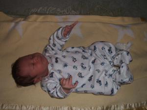 ¡Ö¥é¥¤¥ê¡¼¡×¤Î²èÁü