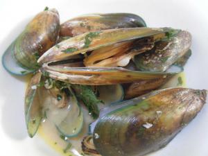 ¡Ö¥à¡¼¥ë³¡×¤Î²èÁü