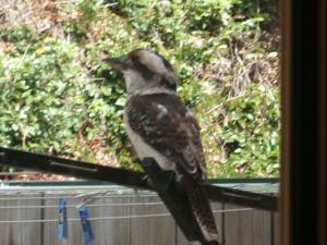 ¡Ö¥ï¥é¥¤¥«¥ï¥»¥ß¡×¤Î²èÁü